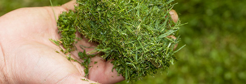 caue85-jardin-plein-de-vie-trivalis-dechets CAUE de la Vendée - un jardin plein de vie - publication