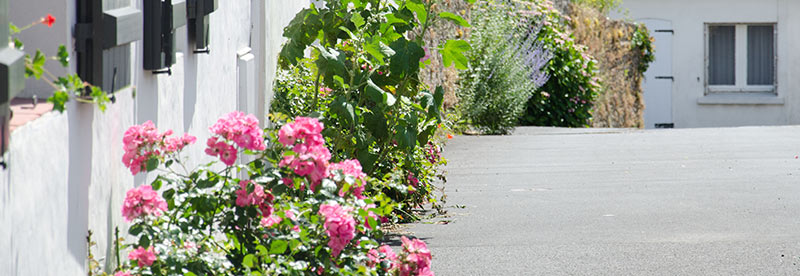 CAUE de la Vendée - un jardin plein de vie - publication