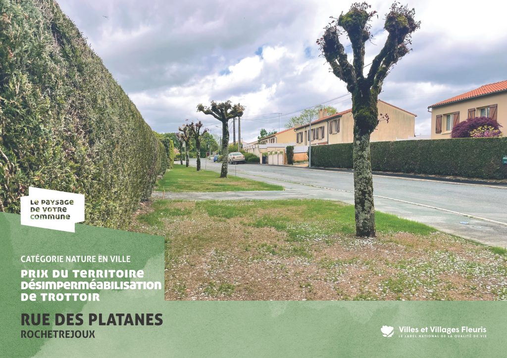 projection_PVC25_vf_Page_13