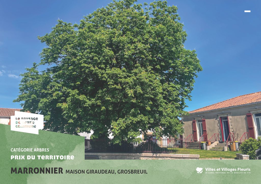 projection_PVC25_vf_Page_15