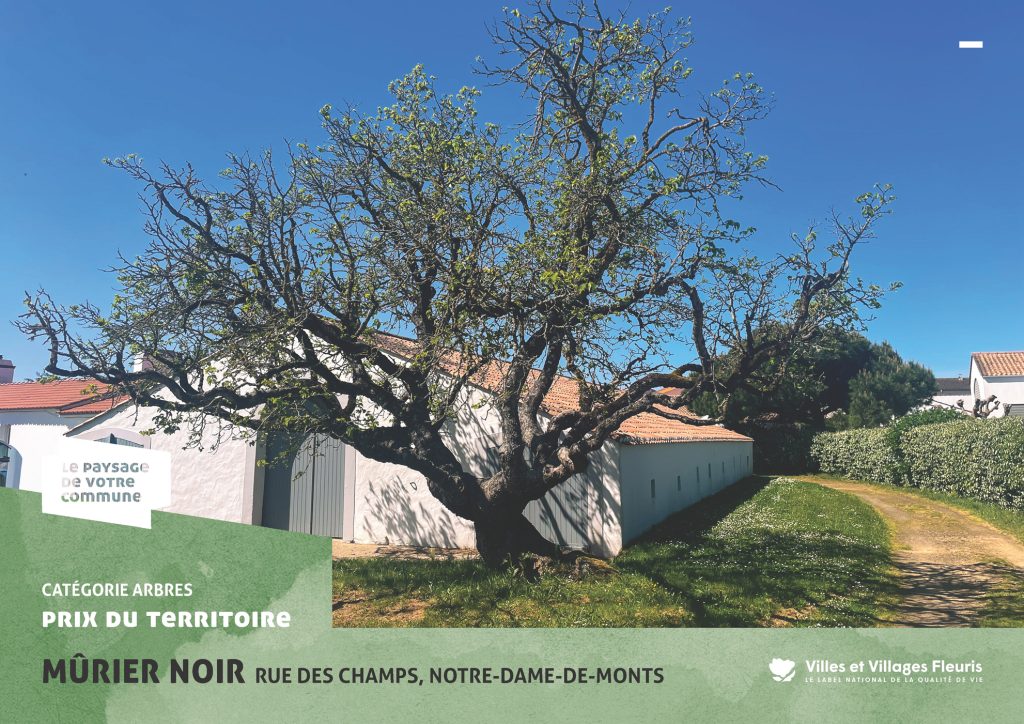 projection_PVC25_vf_Page_17