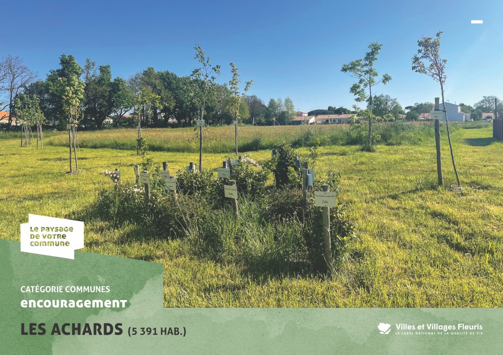 projection_PVC25_vf_Page_21