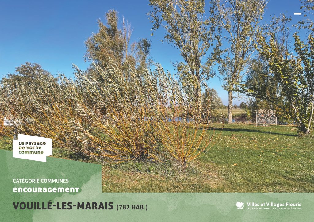 projection_PVC25_vf_Page_24