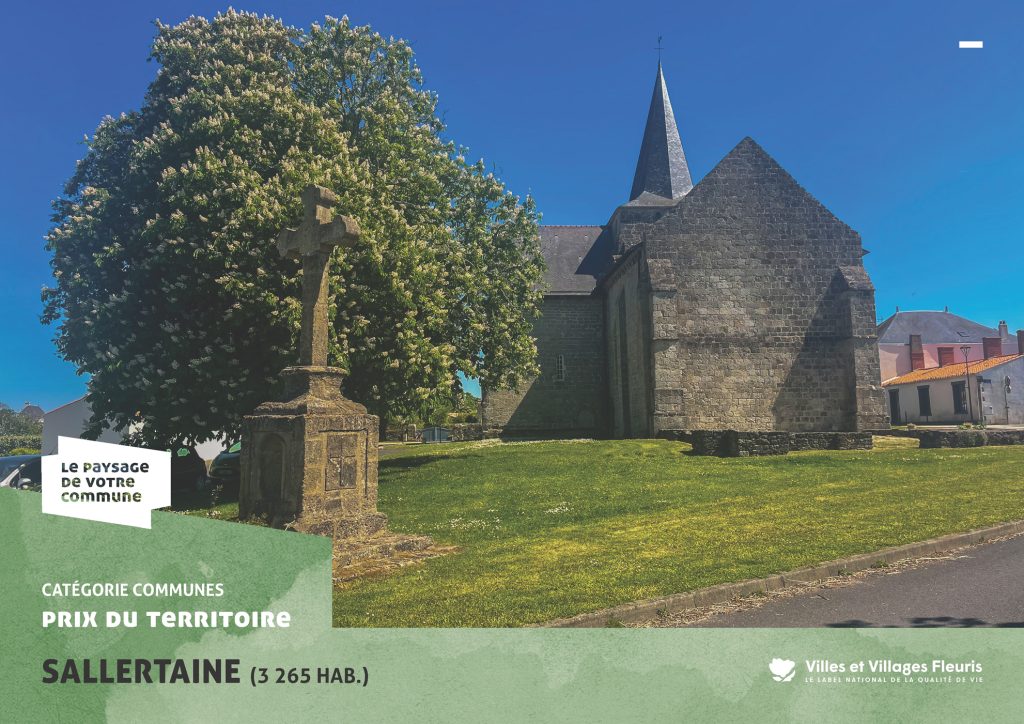 projection_PVC25_vf_Page_27