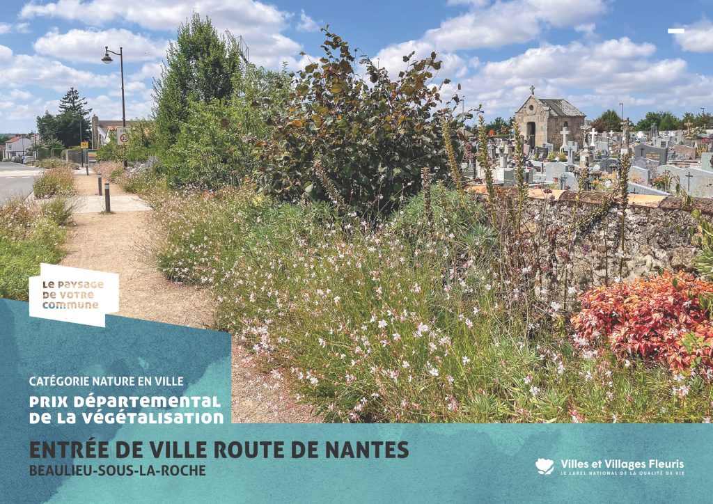 projection_PVC25_vf_Page_40