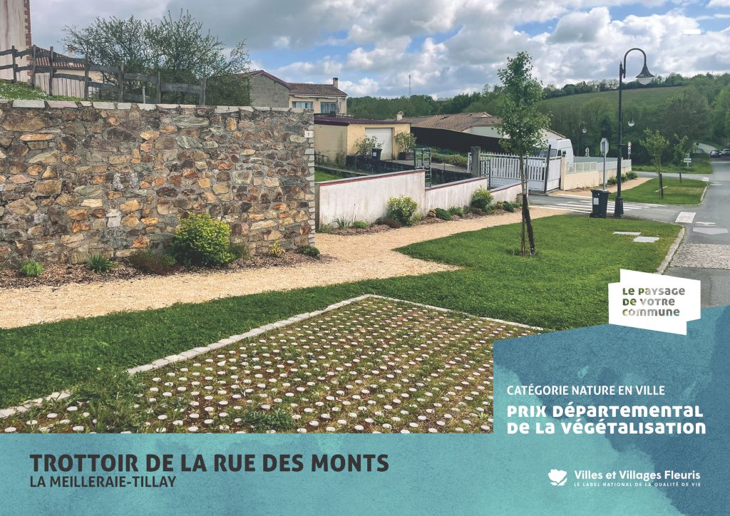 projection_PVC25_vf_Page_41