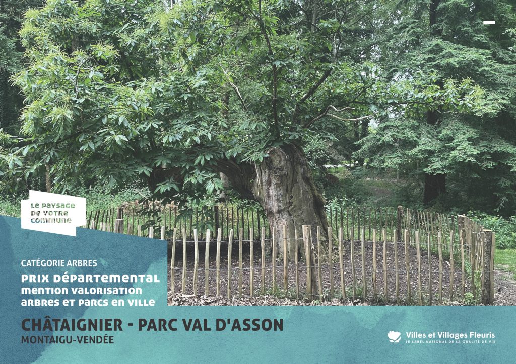 projection_PVC25_vf_Page_44