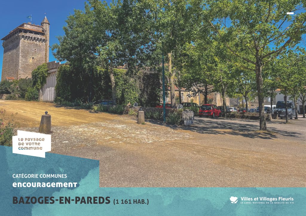 projection_PVC25_vf_Page_49