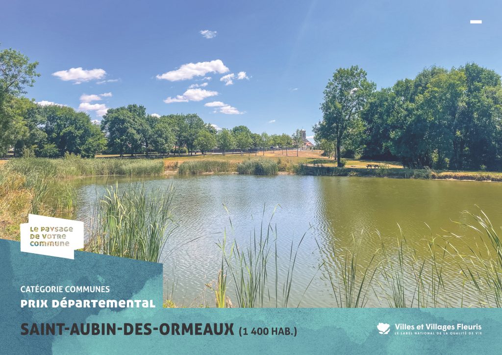 projection_PVC25_vf_Page_52